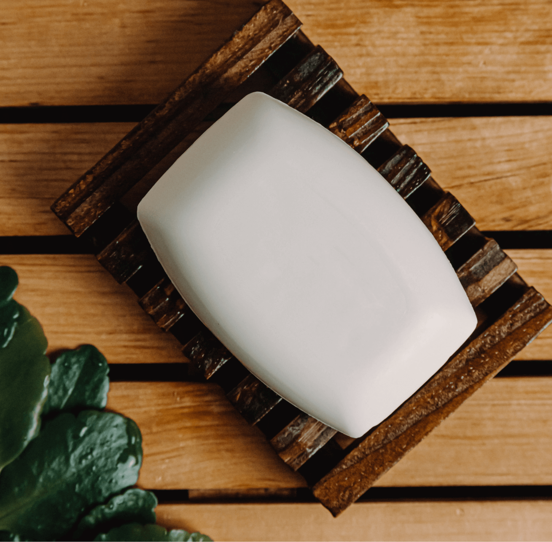 Pain de savon à la noix de coco